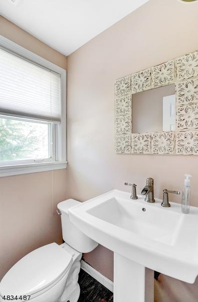 6 Hemlock Ter, Springfield, NJ 07081 photo 21