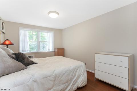 12 Prospect Pl, Springfield, NJ 07081 photo 19