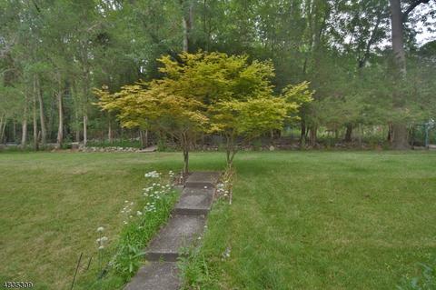 56 Kiwanis Dr, Wayne, NJ 07470 photo 4