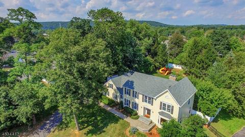 12 Tempe Wick Rd, Mendham, NJ 07945 photo 2