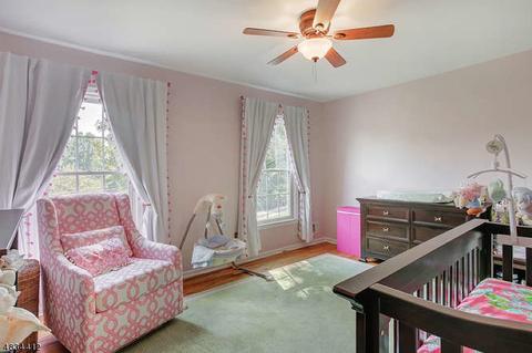 12 Tempe Wick Rd, Mendham, NJ 07945 photo 13