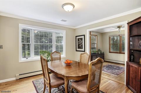 3 Valley View Dr, Mendham, NJ 07945 photo 17