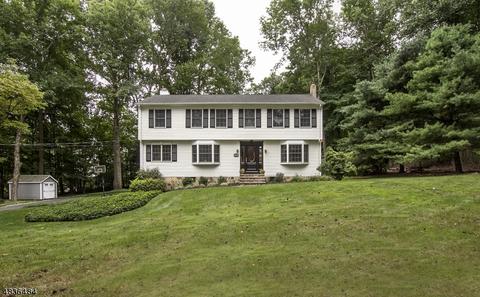 3 Valley View Dr, Mendham, NJ 07945 photo 24