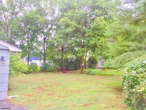 21 Steele Ave, Somerville, NJ 08876 photo 23