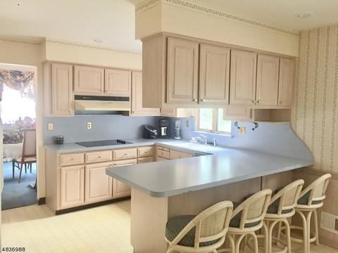 21 Steele Ave, Somerville, NJ 08876 photo 6