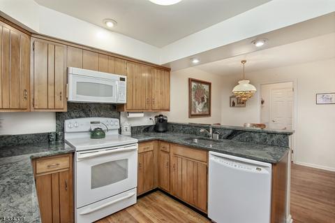 43 Killdeer Pl, Hackettstown, NJ 07840 photo 4