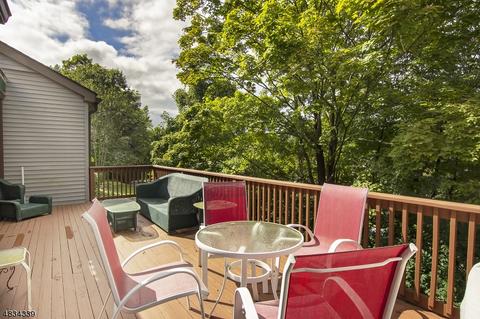 43 Killdeer Pl, Hackettstown, NJ 07840 photo 3