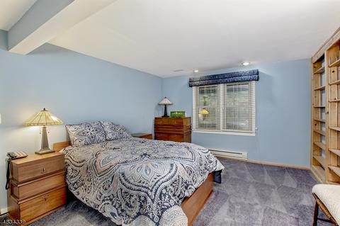 43 Killdeer Pl, Hackettstown, NJ 07840 photo 18