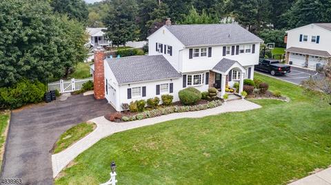 19 Tilghman Dr, Wayne, NJ 07470 photo 1
