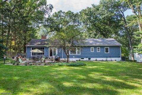 23 E Circuit Dr, Roxbury Twp., NJ 07876 photo 25