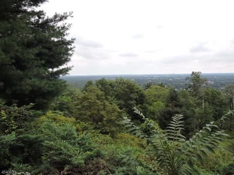 46 Mountain Ave, Bound Brook, NJ 08805 photo 19