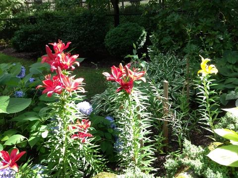 57 Prospect St, Summit, NJ 07901 photo 23