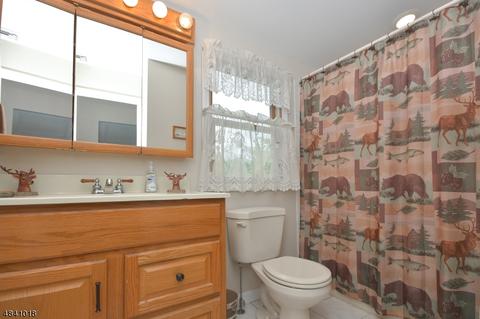 10 Deerfield Rd, Wayne, NJ 07470 photo 13