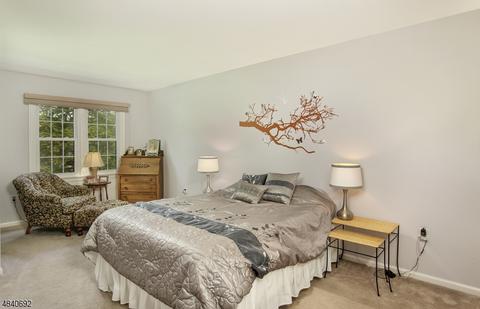 53 Killdeer Pl, Hackettstown, NJ 07840 photo 13