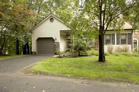 53 Killdeer Pl, Hackettstown, NJ 07840 photo 1