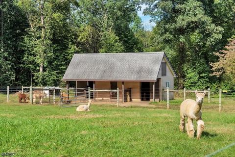 10 River Rd, Hackettstown, NJ 07840 photo 17