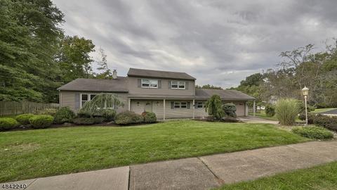 4 Vernon Ct, Wayne, NJ 07470 photo 1