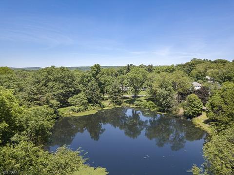 45 Devonshire Ln, Mendham, NJ 07945 photo 3