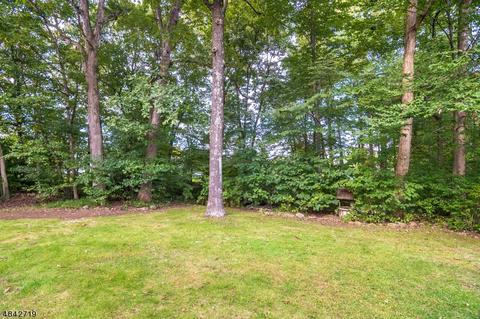 27 Downstream Dr, Mount Olive Twp., NJ 07836 photo 21