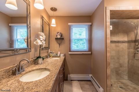 19 Torbet Dr, Wayne, NJ 07470 photo 9