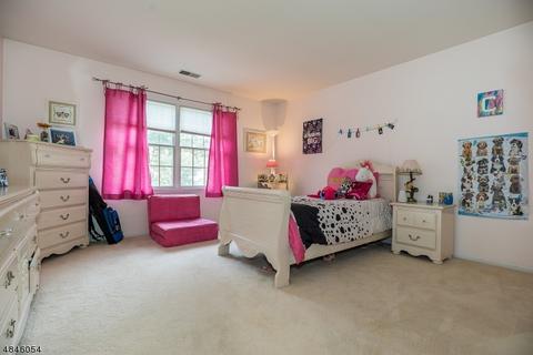 22 Danielle Dr, Wayne, NJ 07470 photo 19