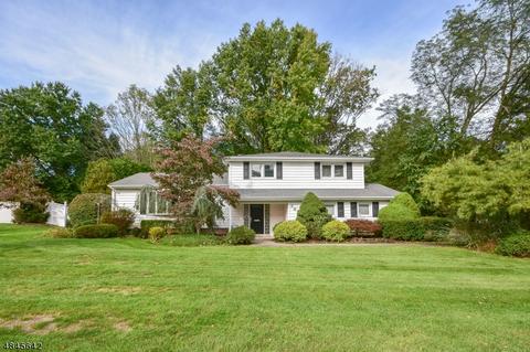38 Rillo Dr, Wayne, NJ 07470 photo 1