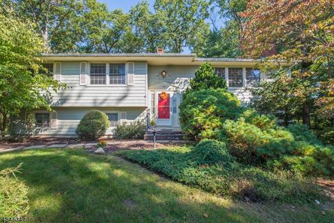 34 Marlo Rd, Wayne, NJ 07470 photo 1