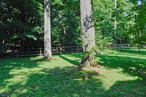 573 Plainfield Ave, Berkeley Heights, NJ 07922 photo 20