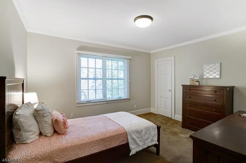 46 Elm St, Millburn, NJ 07041 photo 13