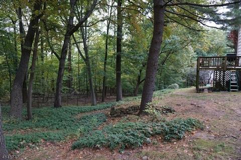 422 Rolling Rock Rd, Springfield, NJ 07081 photo 8