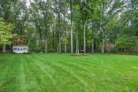 15 Saunders Ln, Hackettstown, NJ 07840 photo 23