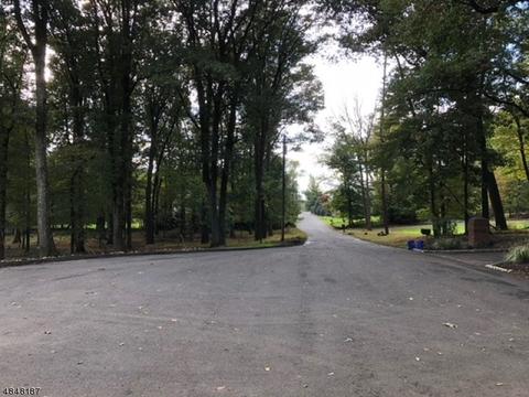 2 Highmount Ave, Warren, NJ 07059 photo 14