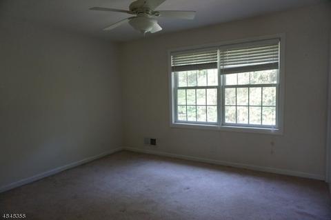 72 Mountain Rd, Alpha, NJ 08865 photo 17