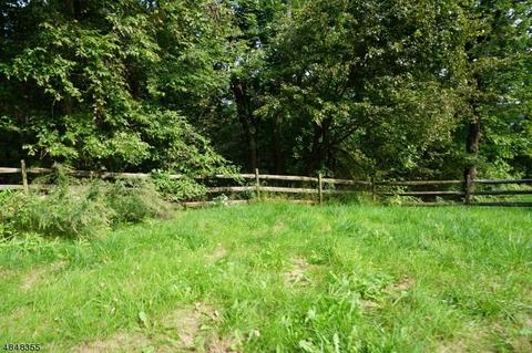 72 Mountain Rd, Alpha, NJ 08865 photo 20