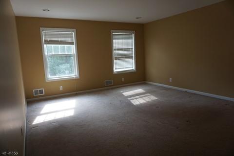 72 Mountain Rd, Alpha, NJ 08865 photo 18