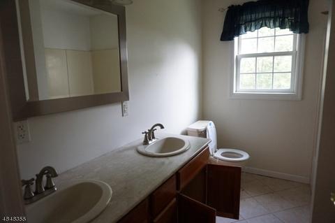 72 Mountain Rd, Alpha, NJ 08865 photo 15