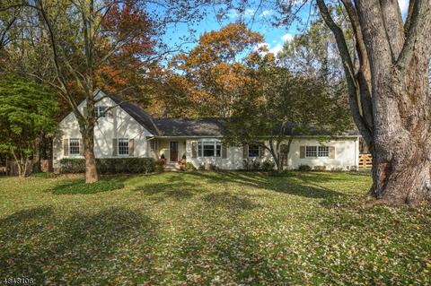 32 Maple Ave, Mendham, NJ 07945 photo 22