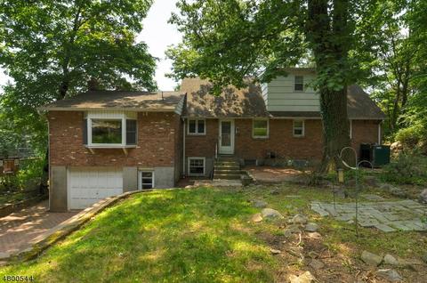 10 Ronnie Rd, Wayne, NJ 07470 photo 23
