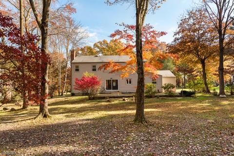 12 Dean Rd, Mendham, NJ 07945 photo 24