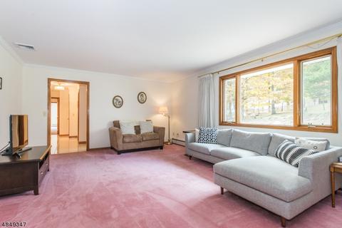 15 Lisa Ln, Wayne, NJ 07470 photo 8