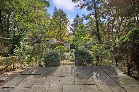 220 Talmage Rd, Mendham, NJ 07945 photo 18