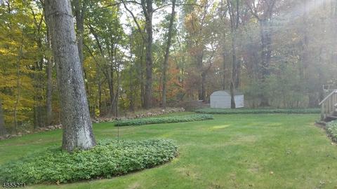 5 Forest Dr, Succasunna, NJ 07876 photo 22
