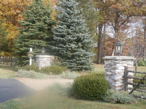 581 581 County Road 579, Hampton, NJ 08827 photo 3