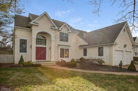 4 Puddingstone Way, Warren, NJ 07059 photo 1