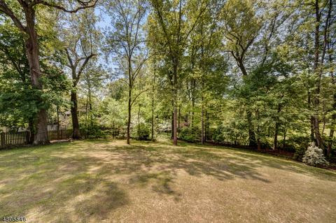 21 Maple St, Chatham Twp, NJ 07928 photo 4