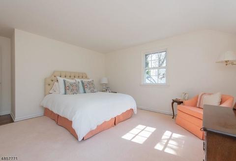 41 Greenbriar Dr, Summit, NJ 07901 photo 15