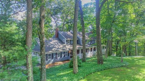 9 Summit Rd, Brookside, NJ 07926 photo 22