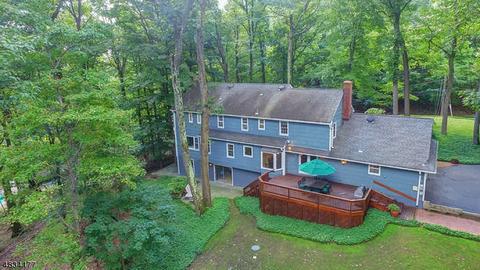 9 Summit Rd, Brookside, NJ 07926 photo 2