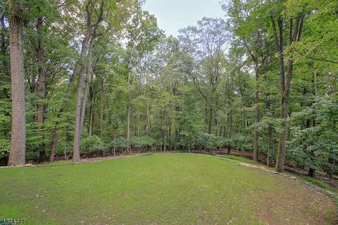 9 Summit Rd, Brookside, NJ 07926 photo 24