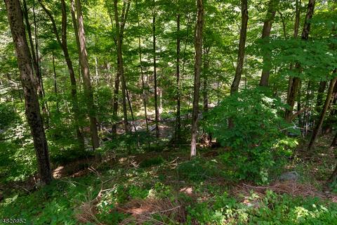 188 River Rd, Hackettstown, NJ 07840 photo 16
